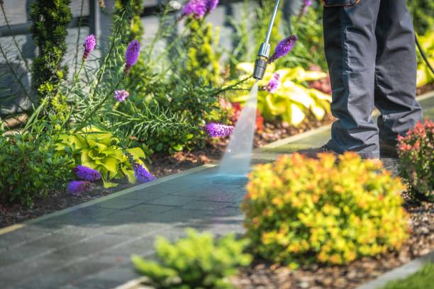 Best Sidewalk and Walkway Cleaning  in Manchester, KY